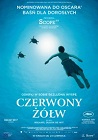 Czerwony żółw - animacja, filmy 2016