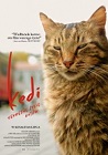 Kedi - sekretne życie kotów - dokumentalny, filmy 2016