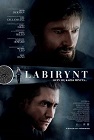 Labirynt - thriller, filmy 2013