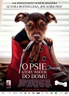 O psie, który wrócił do domu - familijny, filmy 2019