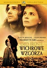 Wichrowe wzgórza - kostiumowe, melodramat, filmy 1992