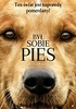 Fajne filmy familijne