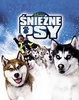 Ranking filmów familijnych
